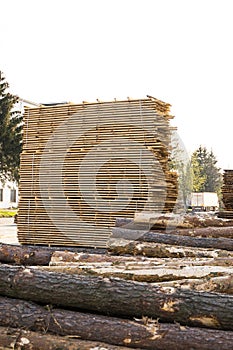 Storage of piles of wooden boards on the sawmill. Boards are stacked in a carpentry shop. Sawing drying and marketing of