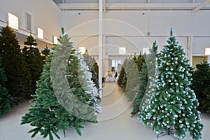 Storage room with artificial Christmas trees