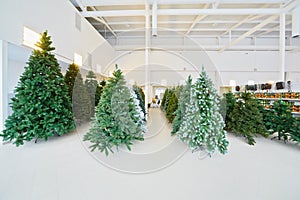 Storage room with rows of artificial Christmas trees