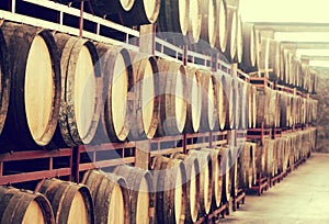 Storage with row of wooden wine barrels