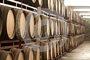 Storage with row of wooden wine barrels