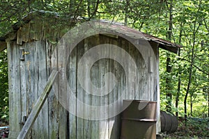 Storage shed at the edge of a forest