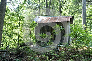 Storage shed in the forest