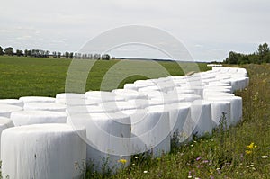 Storage of straw bales in plastic film