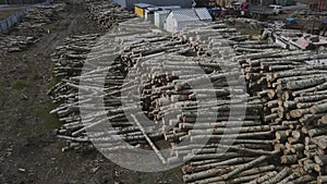 storage of tree trunks at the sawmill. 4k footage of industrial wood production