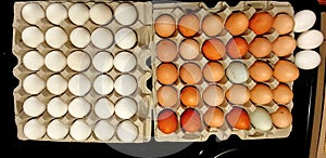 Store Bought Eggs vs. Farm Fresh Eggs photo