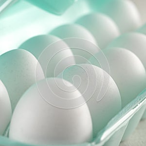 Store bought white eggs closeup photo
