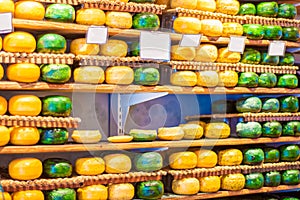 Store cheese in Roterdan, Holland