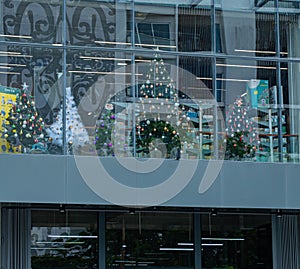 the Store selling decorated Christmas trees for holiday