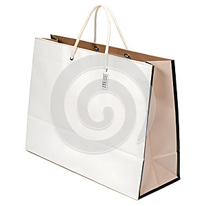 Store shopping isolated on white background