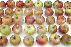 Stored apples