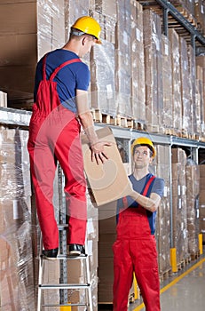 Storekeepers during work in a warehouse