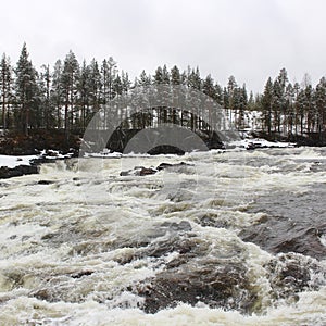 Storforsen in Norrbotten