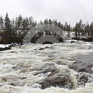 Storforsen in Norrbotten photo