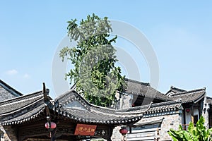 storied building roof