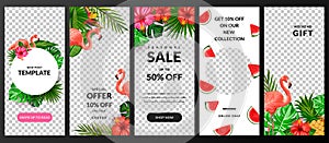 Stories, news or new post vector template for social network. Story background with tropical palm leaves and flamingo