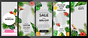 Stories, news or post vector template for social network. Story tropical background. Trendy summer design