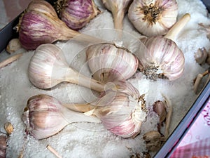 Storing garlic in a box with salt