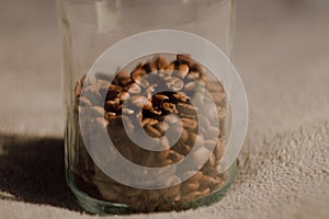 Storing nice brown coffee beans in a jar