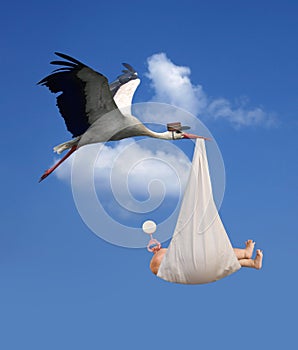 Stork & Baby photo