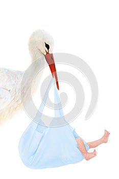 Stork with baby in blue bag