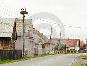 Stork bird nest on a pole and street