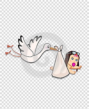 Stork bringing baby girl on transparent background.