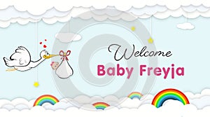 Stork Carrying Baby. Welcome Baby shower party banner for newborn baby freyja photo