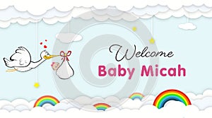 Stork Carrying Baby. Welcome Baby shower party banner for newborn baby micah