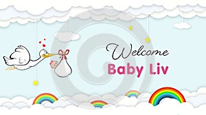 Stork Carrying Baby. Welcome Baby shower party banner for newborn baby liv photo