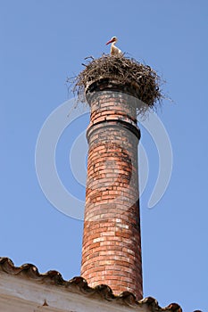 Stork on chimney stack nest