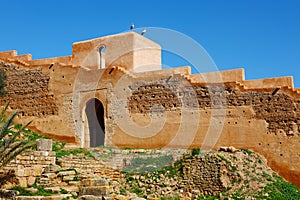 The Stork in the Citadel of Chellah, Rabat,Morocco