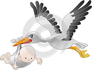 Stork delivering a newborn baby photo