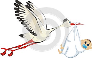 Stork delivering a newborn boy