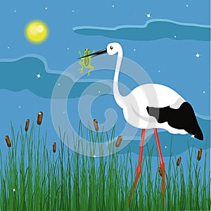 Stork and frog