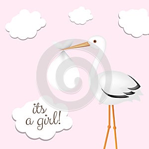 Stork With Girl Baby
