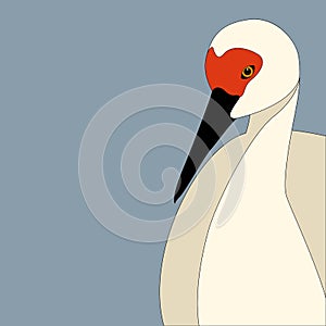 Stork head vector illustration flat style front