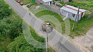 A stork with little chicks in the nest. on a pillar. View from the drone