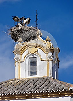 Stork nest on the church tower in Villanueva de la Serena photo