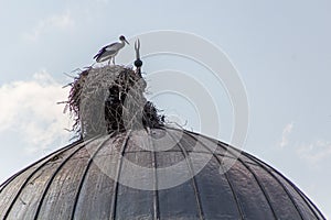 Stork nest on Haci Hacer Cami mosque in Igdir, Turk