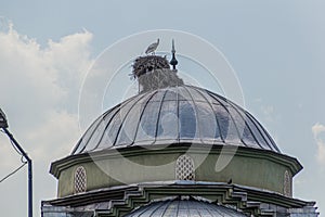 Stork nest on Haci Hacer Cami mosque in Igdir, Turk photo