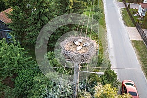 Stork nest in Poland
