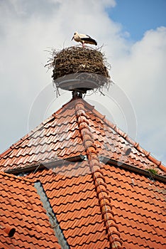 Stork nest on rooftop
