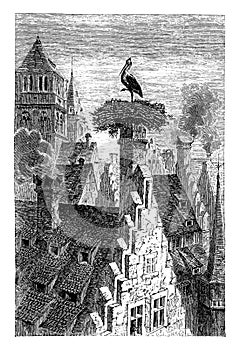 Stork Nest in Strasburg, vintage illustration