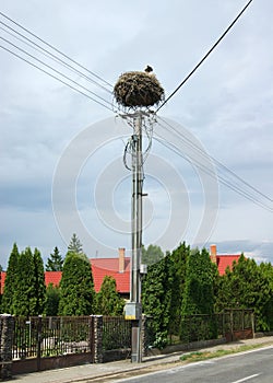 Stork nest on top of an electric pole, by the side of the village road, Slovakia