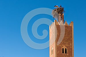 A stork in the nest on the top of a minaret