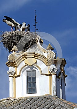 Stork nest on the Villanueva church tower photo