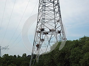 Stork nests in a electricity pylon.