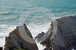 Stork nests on ridge over ocean