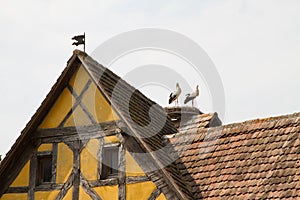 Stork on a roof of Half timbered house in a village in Alsace